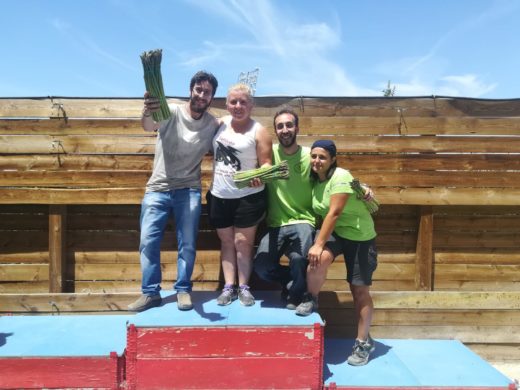 4c084746-4e60-4a79-972c-82cef7064854