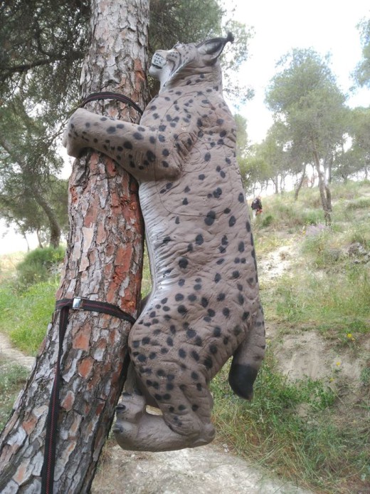 13335351_10154248692108552_1303247816_n