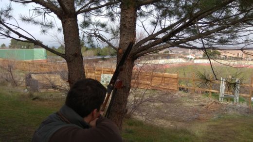 tirada_interna_recorrido_bosque